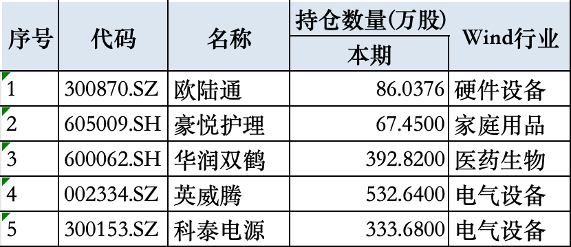 2025年一季度科威特投资局新进个股